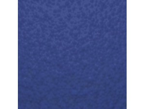 PIGMENT PIGMERON BETA BLUE BFP (20 KG)